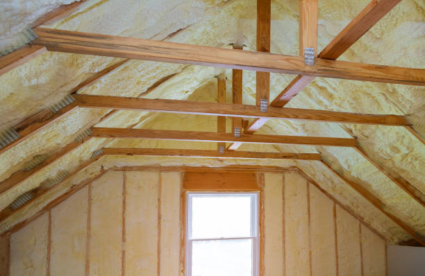 Best Professional Insulation Contractor  in White Bluff, TN