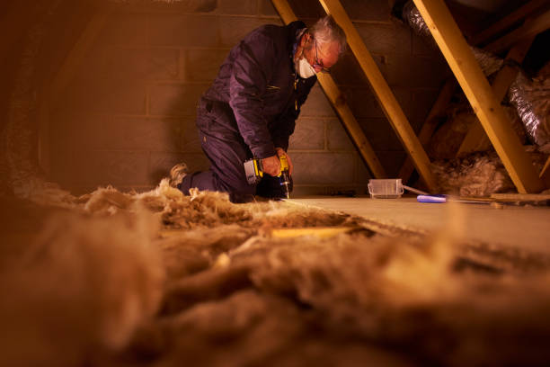 Best Insulation Repair Services  in White Bluff, TN